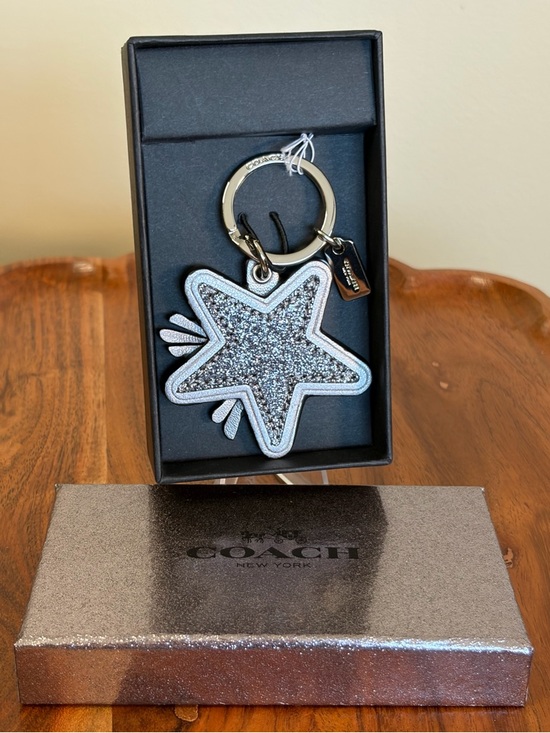 Coach Accessories - Coach Star Canyon Glitter Silver and Gunmetal Key Fob NIB F64350